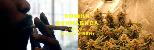 эйфоретик Беломорск