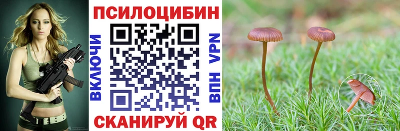 Псилоцибиновые грибы MAGIC MUSHROOMS Нерюнгри