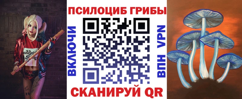 Псилоцибиновые грибы GOLDEN TEACHER Нерюнгри